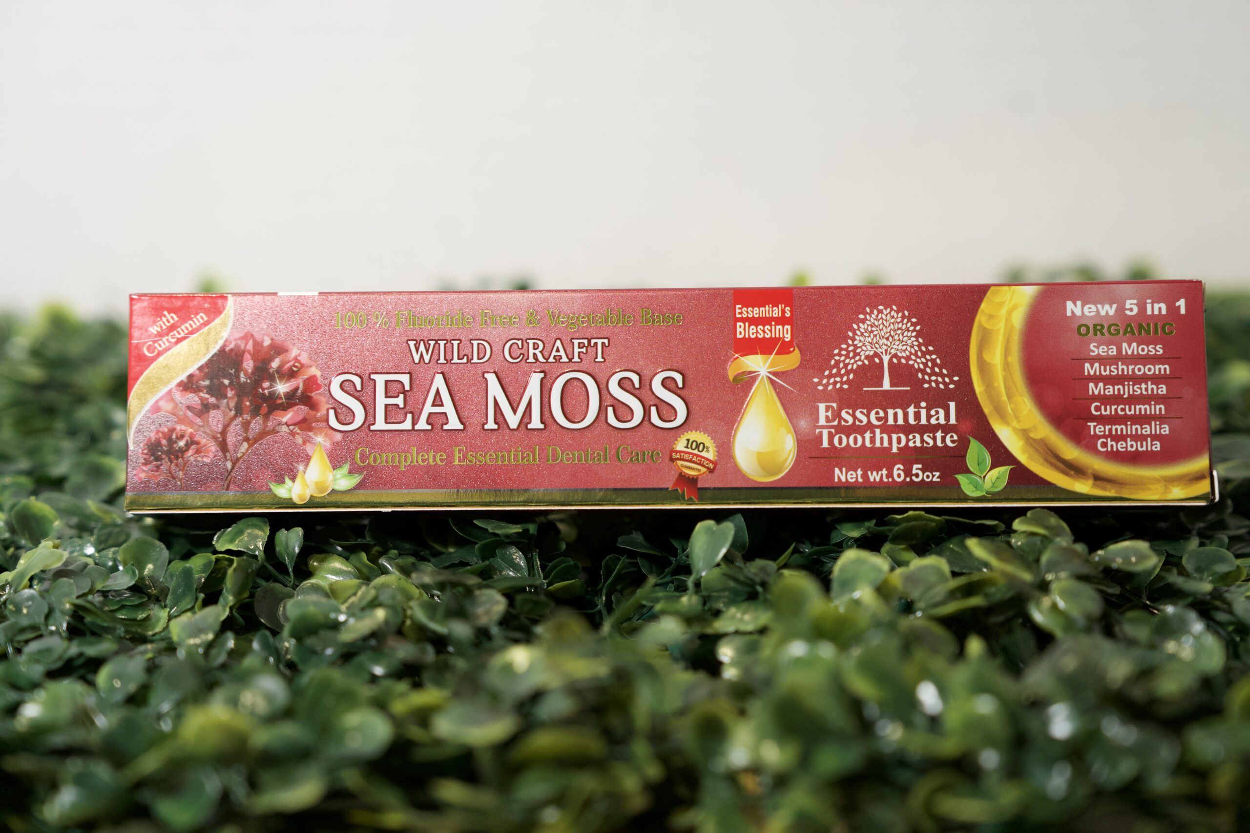 DSC03620 Organic Sea Moss Toothpaste - Image 1